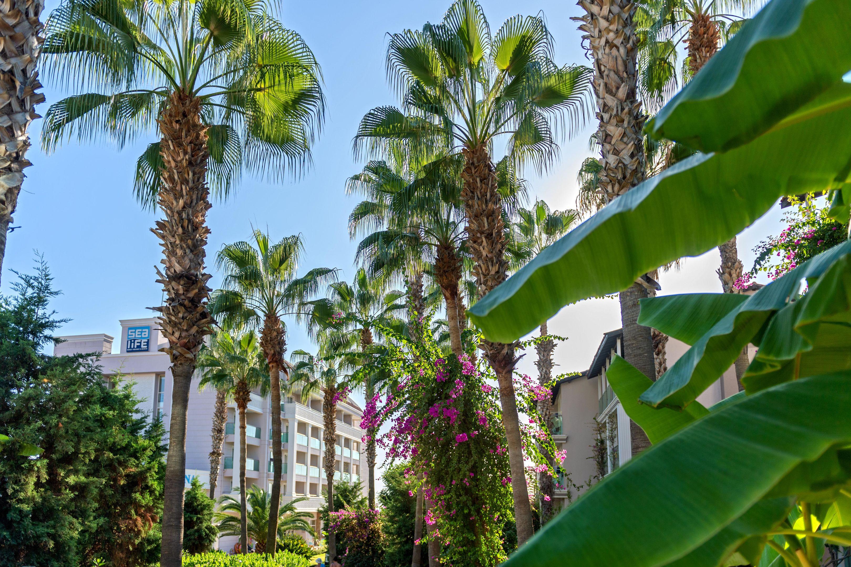 Sealife Buket Resort & Beach Hotel Okurcalar Exterior photo
